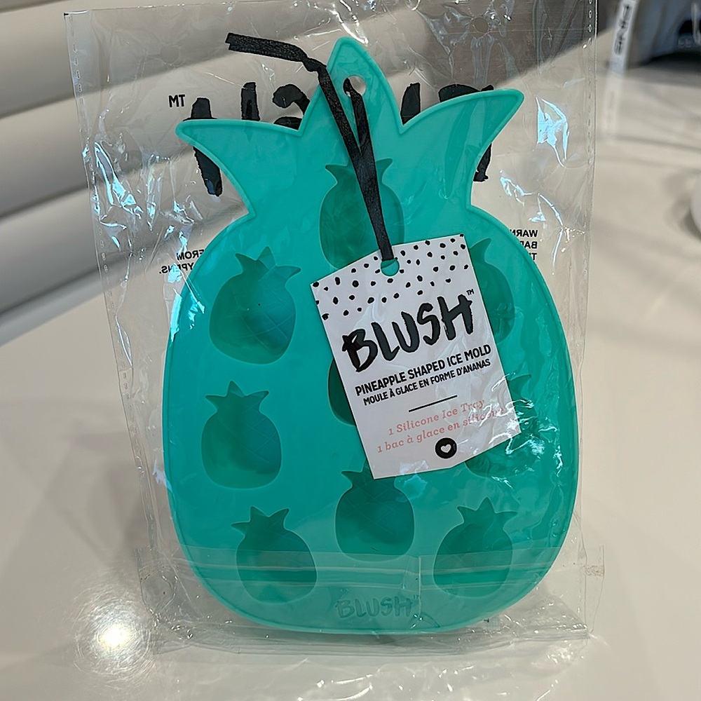 BLUSH Pineapple Shaped Ice Mold